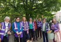 Gardening group's blooming lovely daffs bring cheer to town