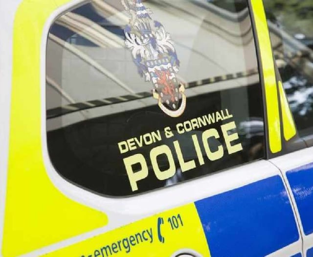 Man arrested after police attend Kingsbridge address