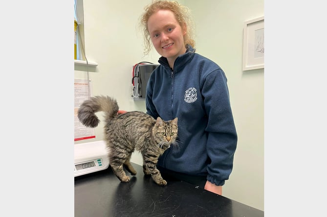 Margot with vet Alice Kay from Jonathan Wood Vets.