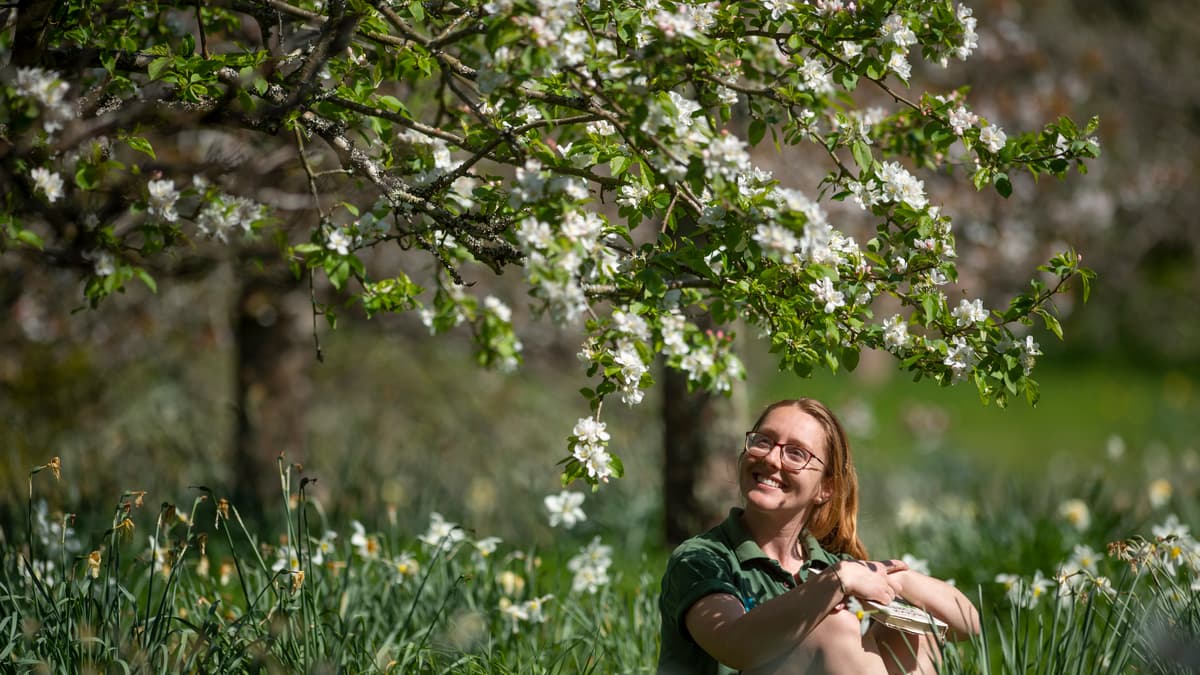 South West's National Trust invites public to celebrate spring in