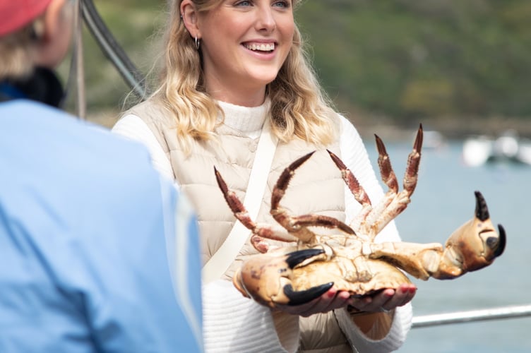 Crabs aboard Tenacious 2023 