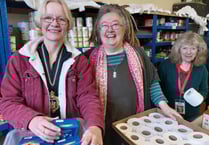 Totnes Town Council grants up for grabs