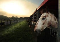 PICTURE SPECIAL: Devon County show, the first two days