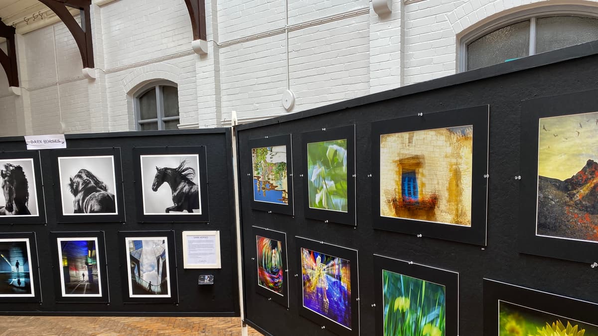 Kingsbridge and District Camera Club celebrate their work at exhibition