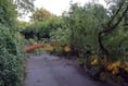 Highways teams thanked for swift clear-up after Storm Antoni