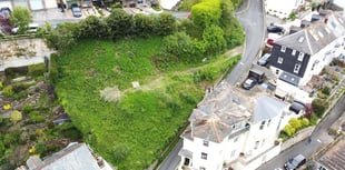 Dartmouth land up for auction