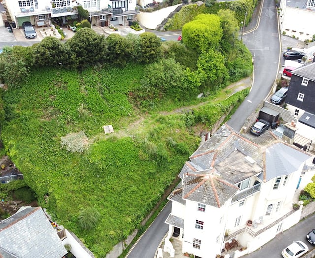 Dartmouth land up for auction