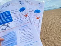 Blackpool Sands quiz
