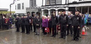 Totnes thanks given for poppy success