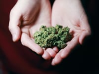 16-year-old boy ran £100,000 online cannabis shop
