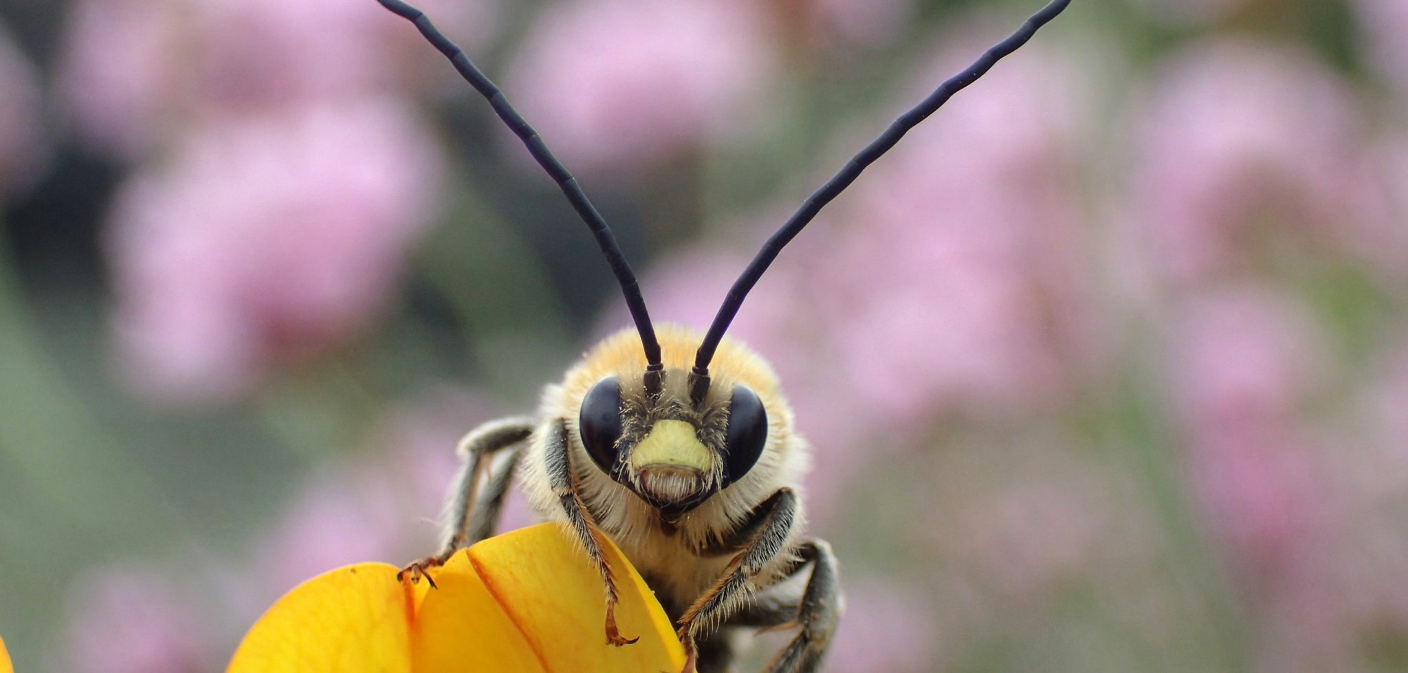 Life on the Edge needs money and support