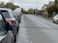 Totnes residents in despair over vandalism incidents