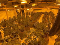 £1m of drugs and dirty cash seized