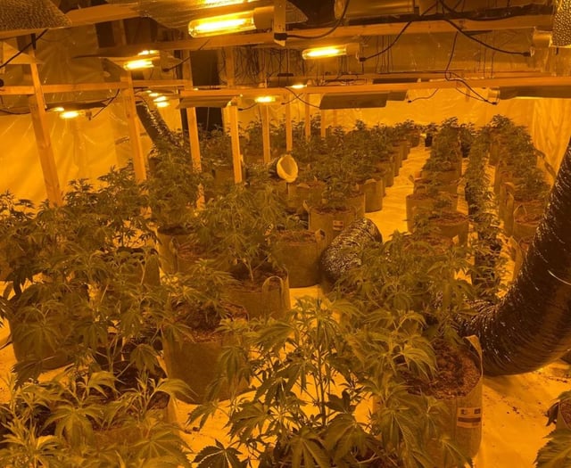 £1m of drugs and dirty cash seized