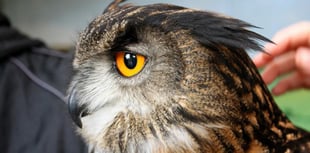 Half-term Junior Bake-Off for local charity