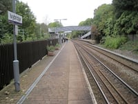 MP calls for more trains to call at Ivybridge station