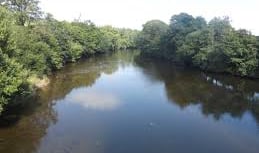 Explore history of the Dart