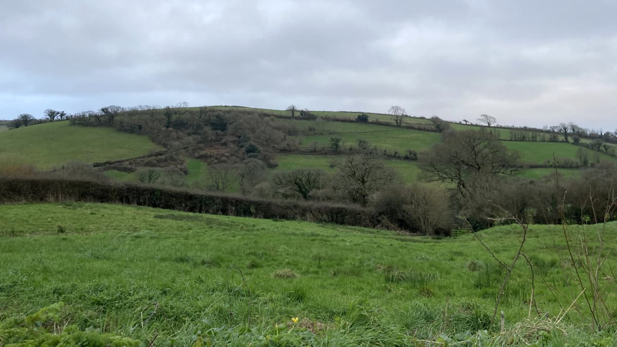 Fund offers grants to improve local environment