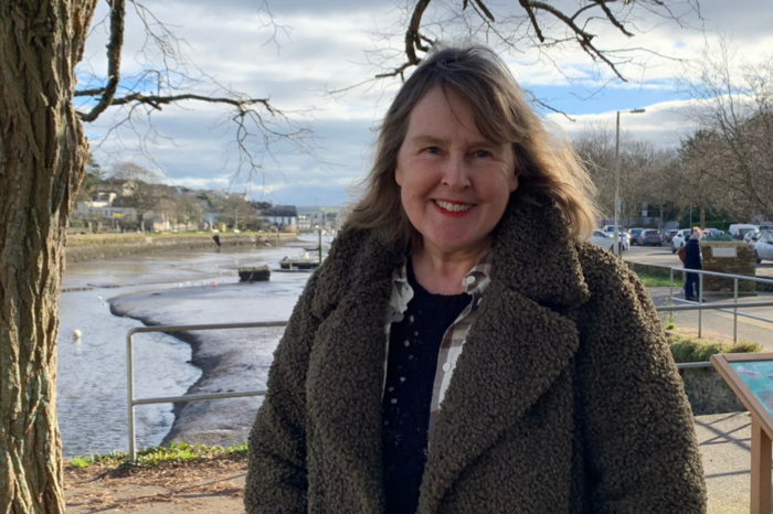 Cllr Denise O'Callaghan suggests the deal could affect finance for housing in the South Hams