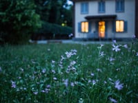 Plastic grass is not green