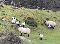 Special rambling event in Cornwood