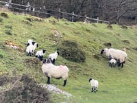 Chasing Crockern: A Journey through Dartmoor’s folklore