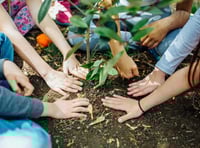 Sustainable South Hams secures £20,000 seed funding 