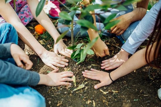 Sustainable South Hams secures £20,000 seed funding 