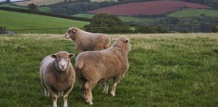 South Hams second highest percentage in country for holiday homes