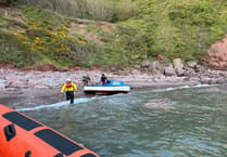 Dart RNLI rescue adults and dogs