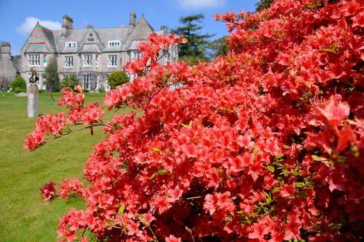 Delamore Gardens
