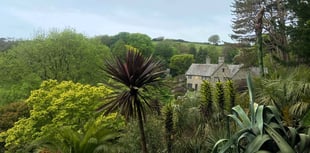 Banish the winter blues with the National Trust in the South Hams