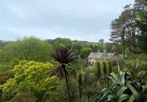 Free creative photography workshops at Coleton Fishacre