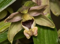 Nature Diary June 8 2024 | by Geoff Foale