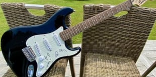 Signed Coldplay guitar up for grabs in hedgehog charity fundraiser