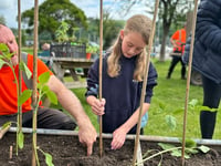 Children from Dartmouth Academy join sunflower growing challenge