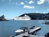 Dartmouth’s cruise ship dilemma 
