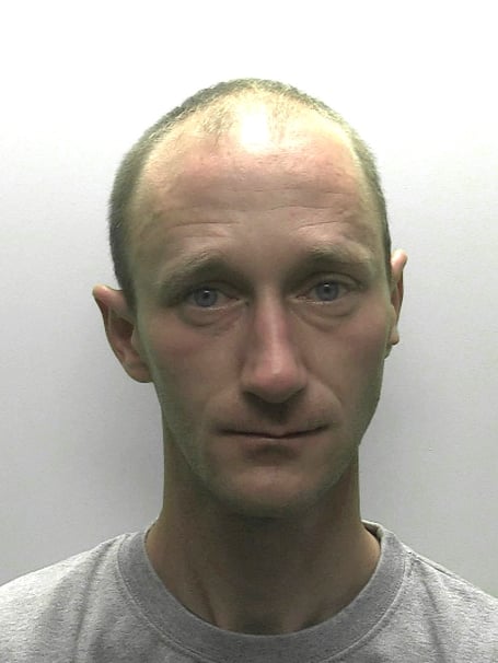 Luke Smerdon pleaded guilty to a string of charges