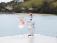 Salcombe Gin takes over land and sea
