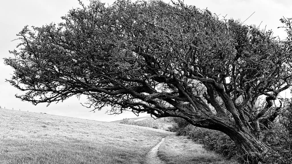 Striking photo of Little Dartmouth on display at London #39 s Paddington