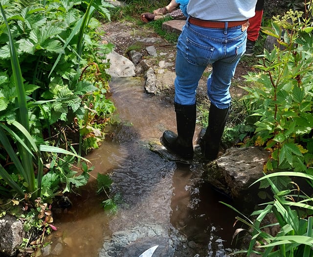 Water sculpture unveiled at ‘Magical’ Totnes garden