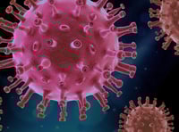 Infections expert warns of summer Covid increase