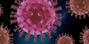 Infections expert warns of summer Covid increase