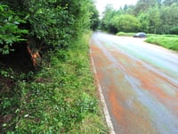 Police appeal for witnesses after two teenagers die on Devon road 