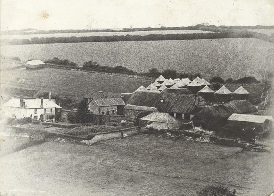Malston Farm 1904. Round and rectangular corn ricks, thatched, small in size for 1 days thresh when waggoned into threshing barn. Note some of the barns are thatched.