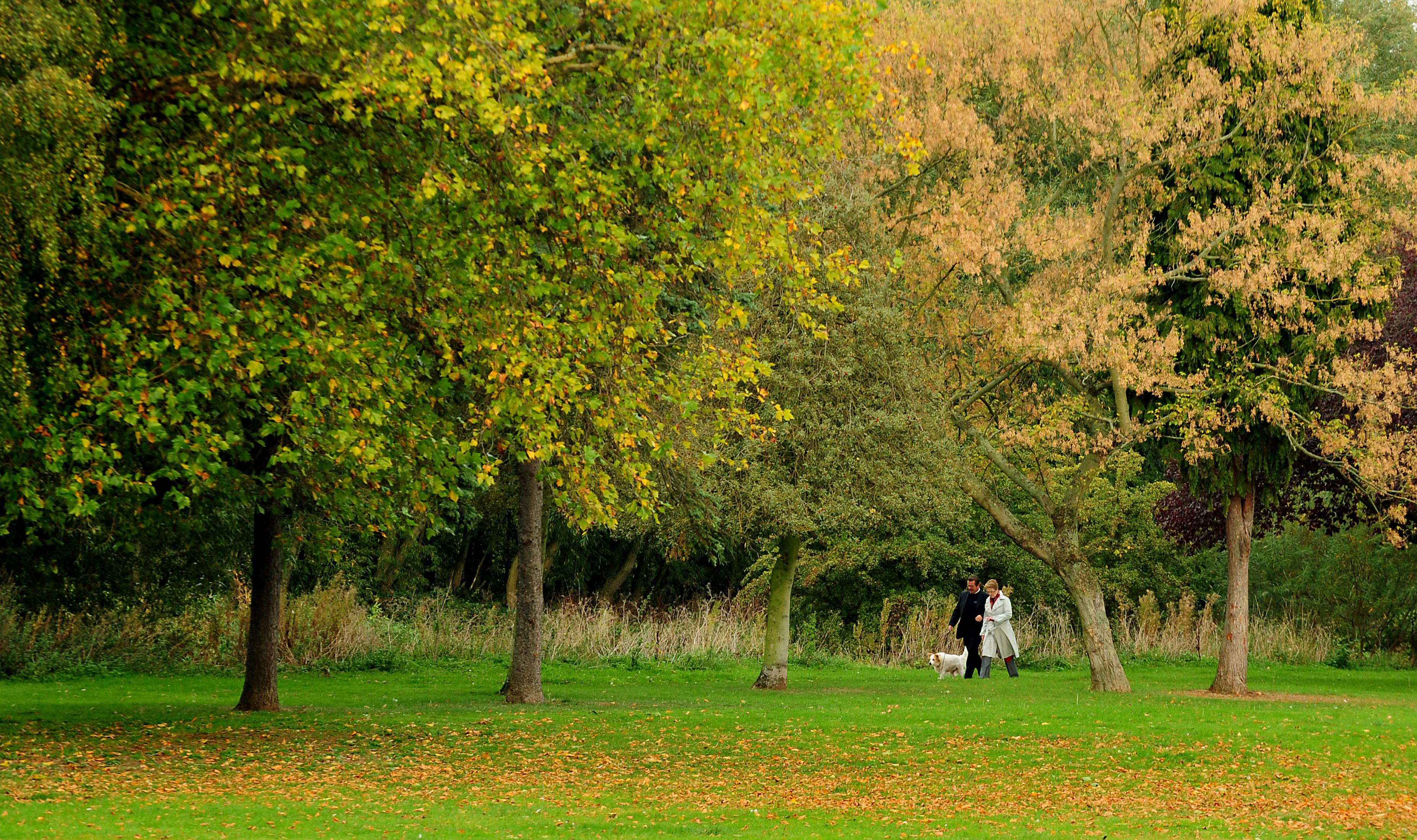 Access to green space in South Hams one of the worst in South West