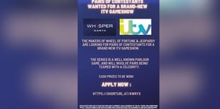 Team up with a celebrity in a new ITV game show