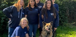 Funding to protect more people and pets from domestic abuse