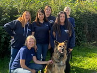 Funding to protect more people and pets from domestic abuse