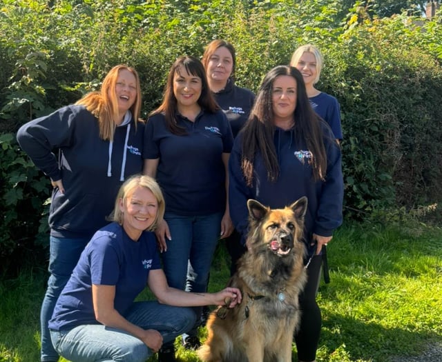 Funding to protect more people and pets from domestic abuse